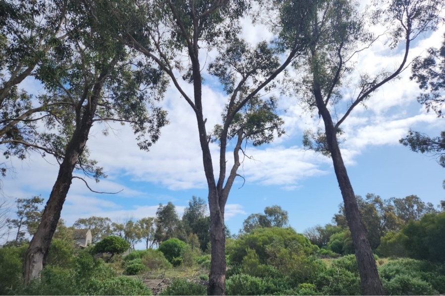 0 Bedroom Property for Sale in Brittania Beach Estate Western Cape